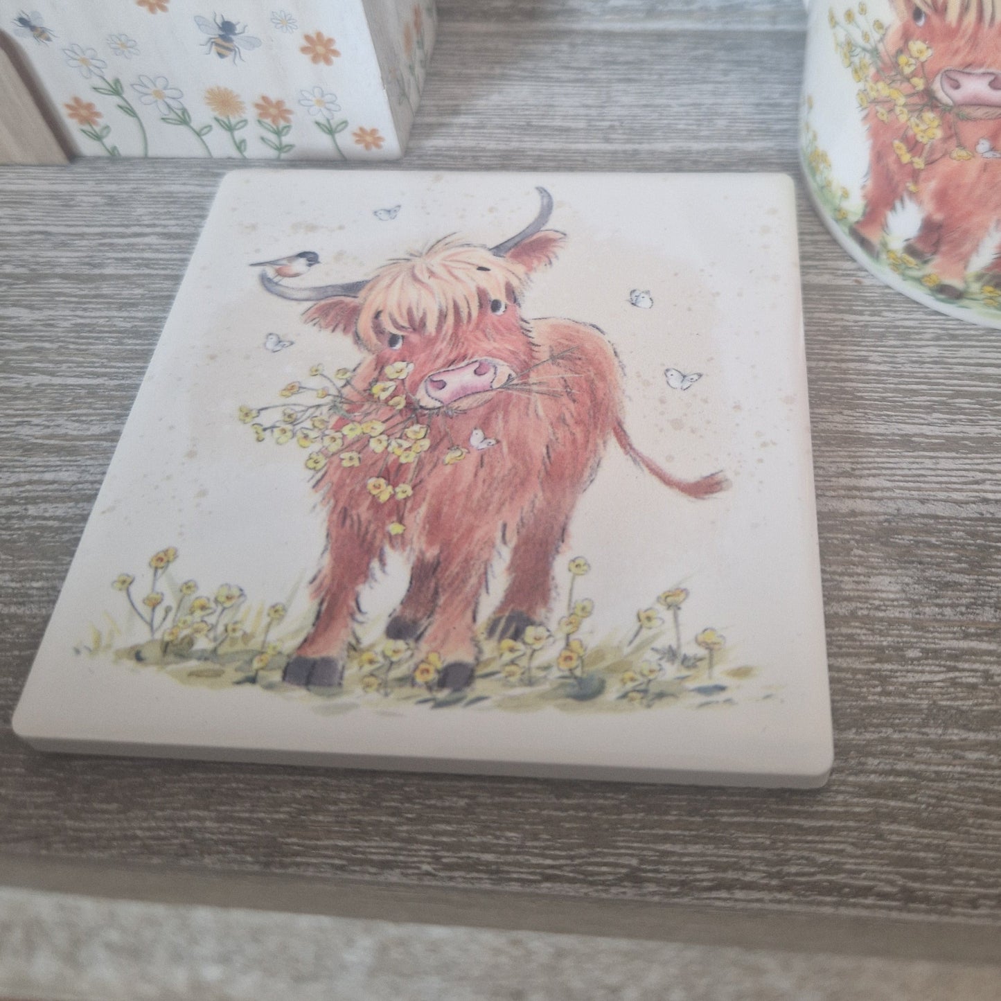 Highland Cow Coaster