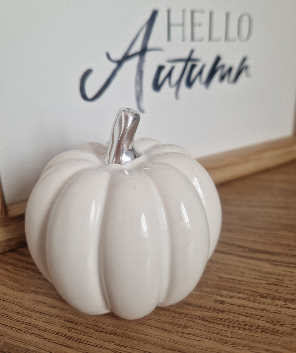 Small Silver Stalk Pumpkin