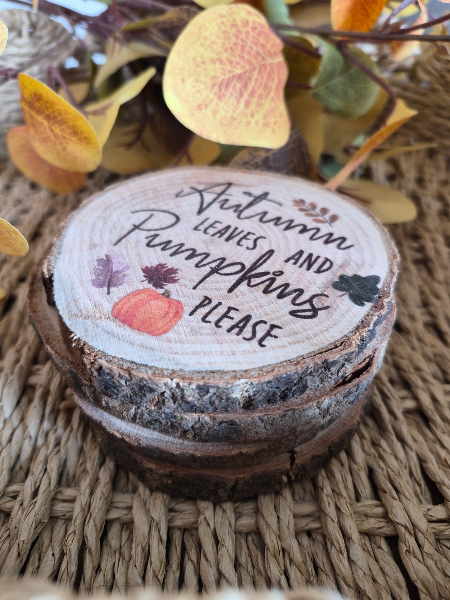 Hello Autumn Coaster Set