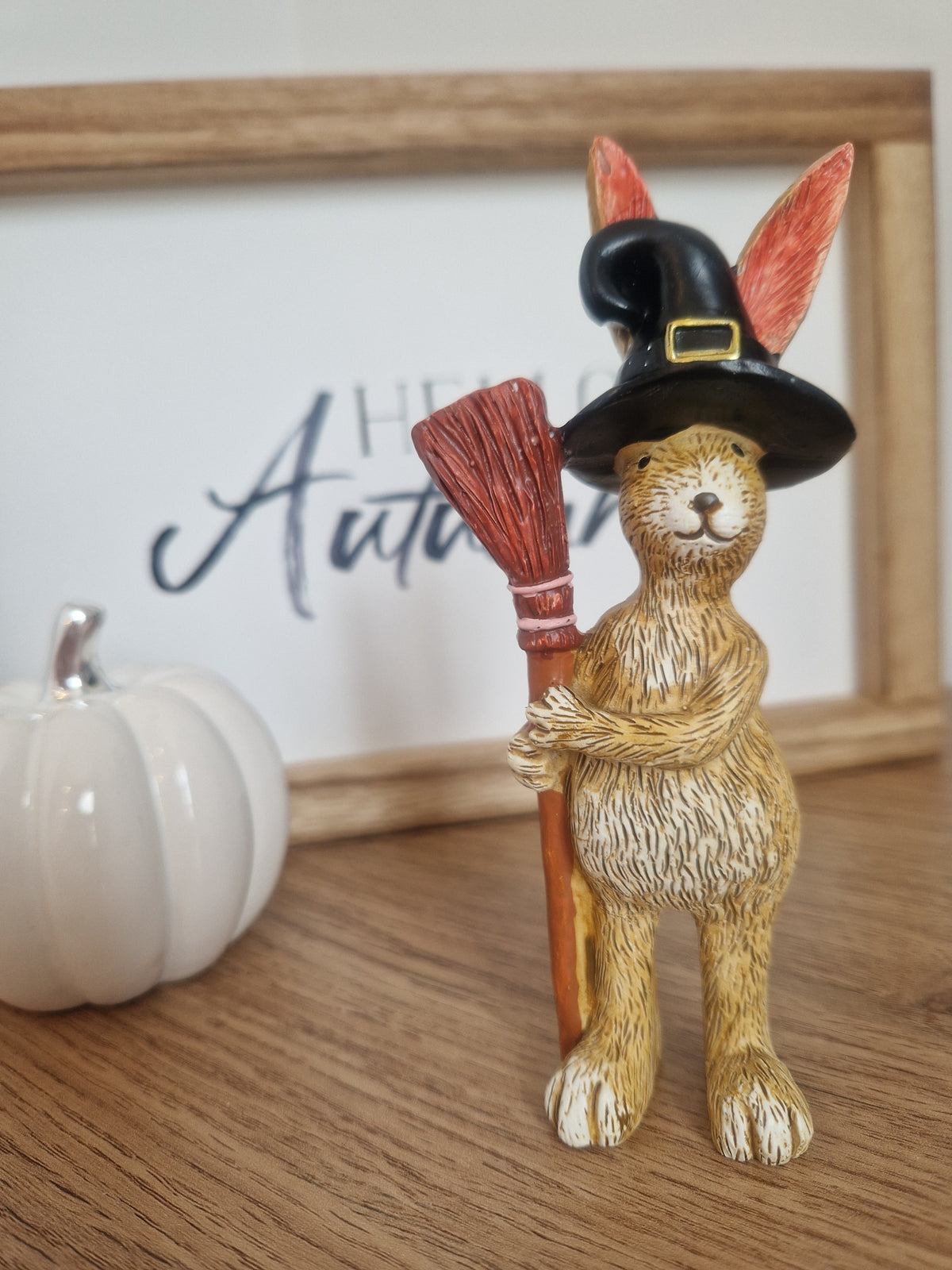 Jasper Rabbit Witch