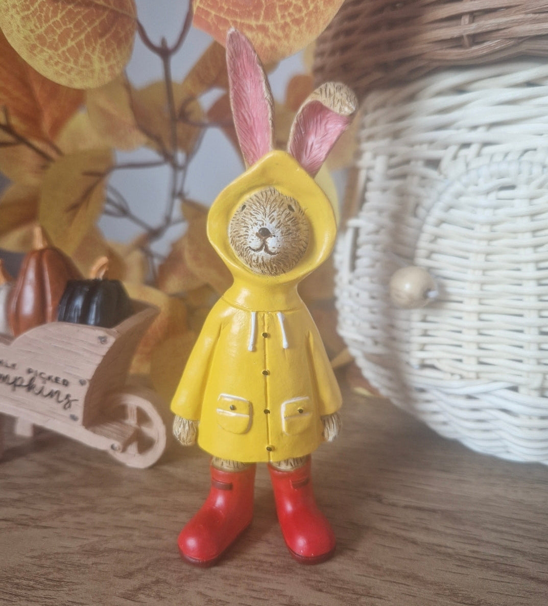 Raincoat Rabbit