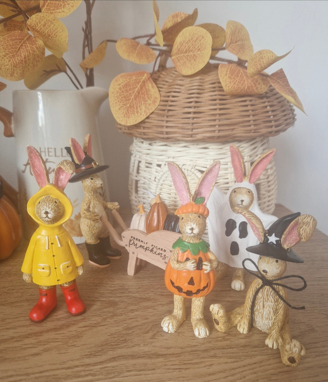 Autumn Collection