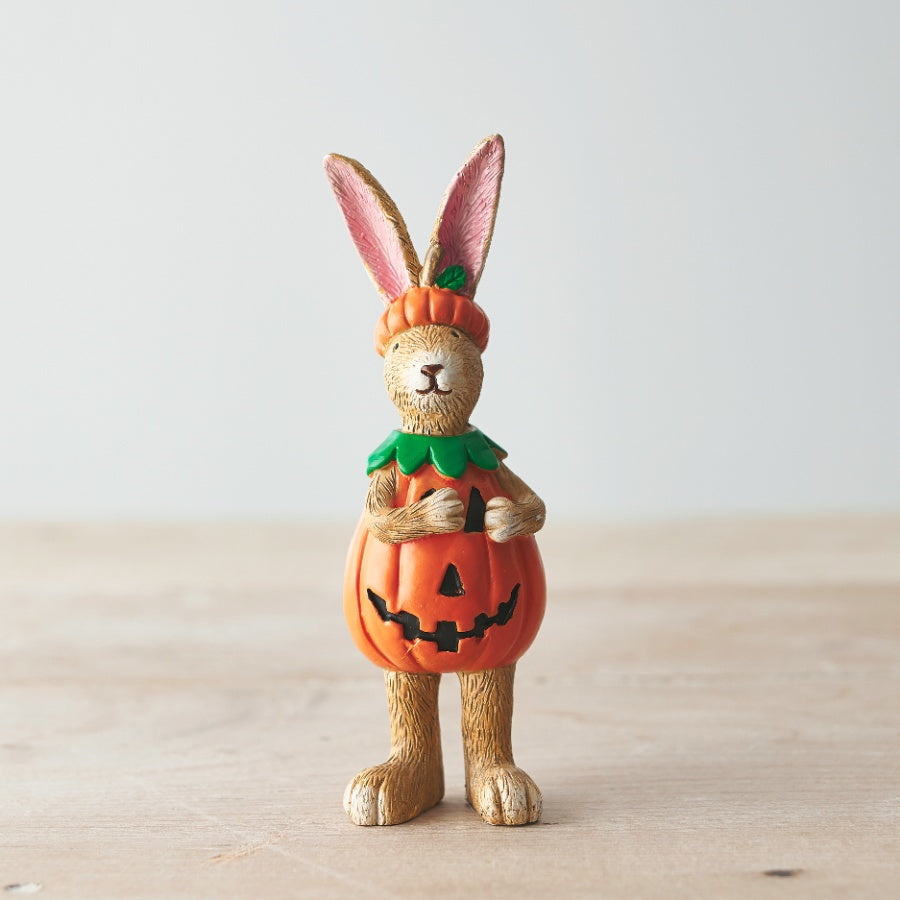 Fancy Dress Pumpkin Rabbit