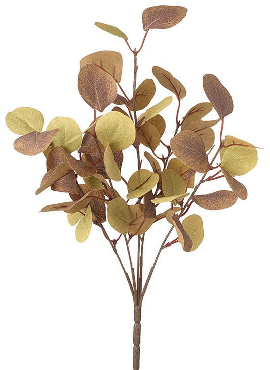 Eucalyptus Leaf Sprig