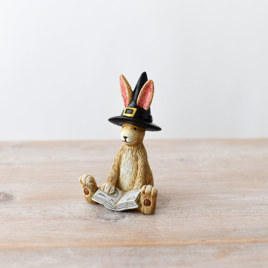 Sitting Witch Rabbit With Spells