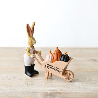 Fresh Pumpkins Rabbit With Wheelbarrow