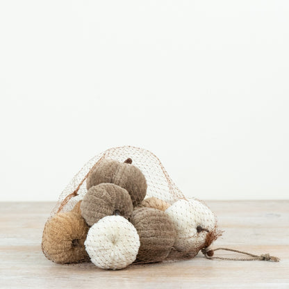 Bag Of Autumn Pumpkins