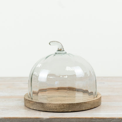 Pumpkin Cake Glass Dome