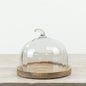 Pumpkin Cake Glass Dome