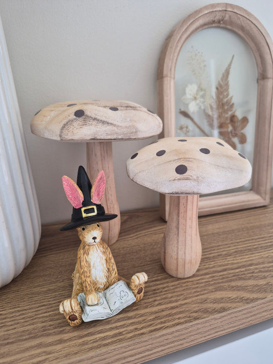 Set Of 2 Whitewash Wooden Mushrooms
