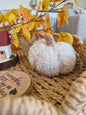 Mini Sherpa Pumpkin