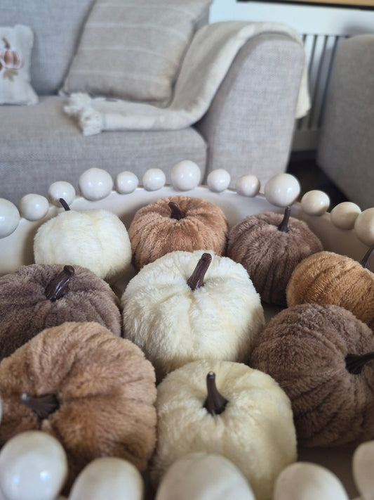 Bag Of Autumn Pumpkins