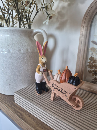 Fresh Pumpkins Rabbit With Wheelbarrow