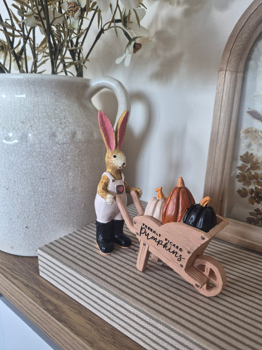 Fresh Pumpkins Rabbit With Wheelbarrow