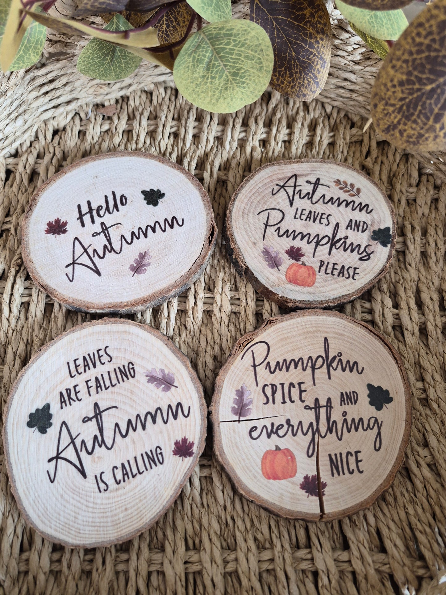 Hello Autumn Coaster Set