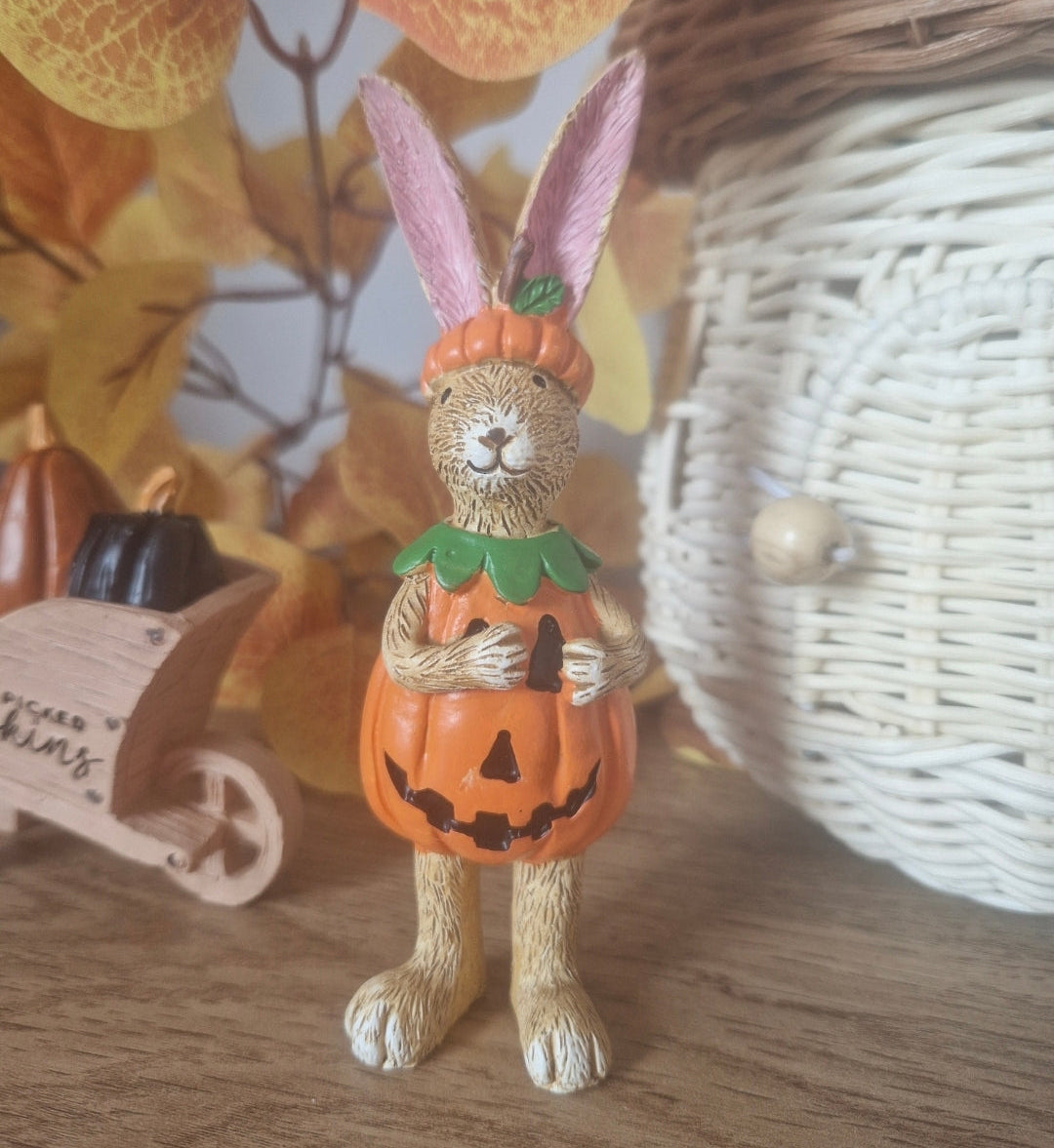 Fancy Dress Pumpkin Rabbit